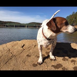 Meet your Posher, Christian